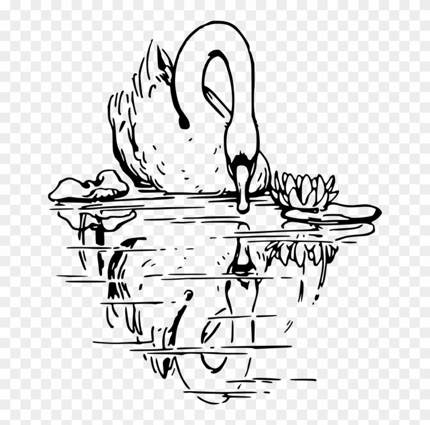 Mute Swan Black Swan Black And White Drawing Line Art - Swan Black And White Drawing Clipart