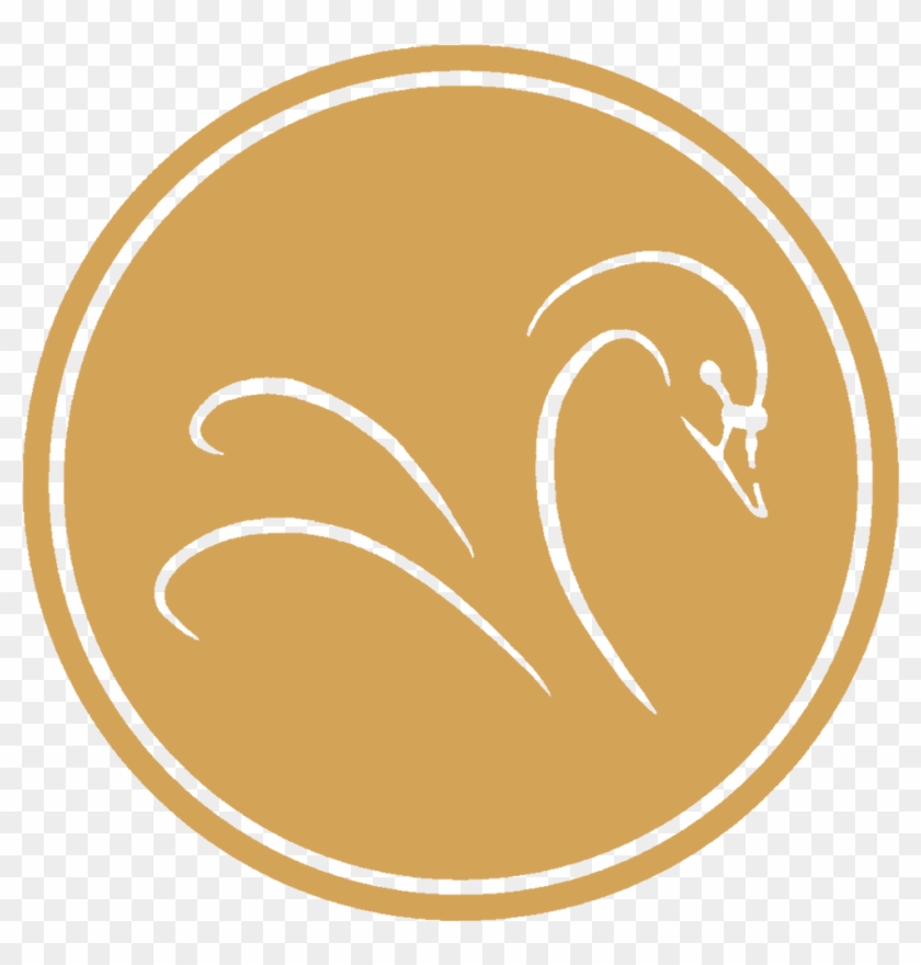 Circle Clipart #5568845