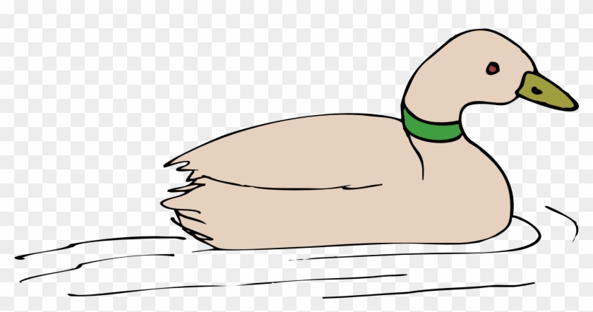 Painted Grey Duck - Duck In Water Clip Art - Png Download #5569585