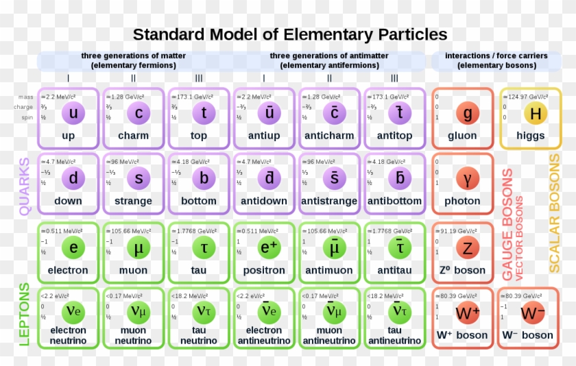 Standard Model Of Elementary Particles Anti - Standard Model Of Elementary Particles Clipart