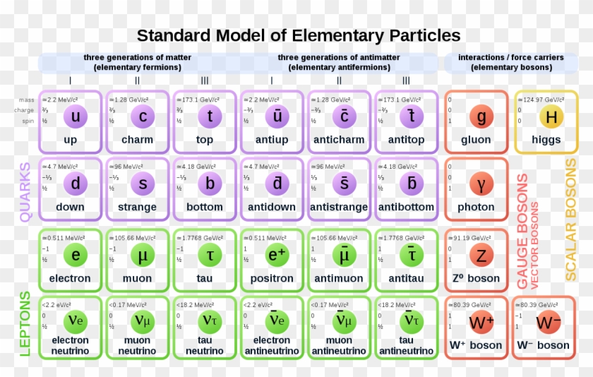 Standard Model Of Elementary Particles Anti - Standard Model Of Elementary Particles Clipart #5569817