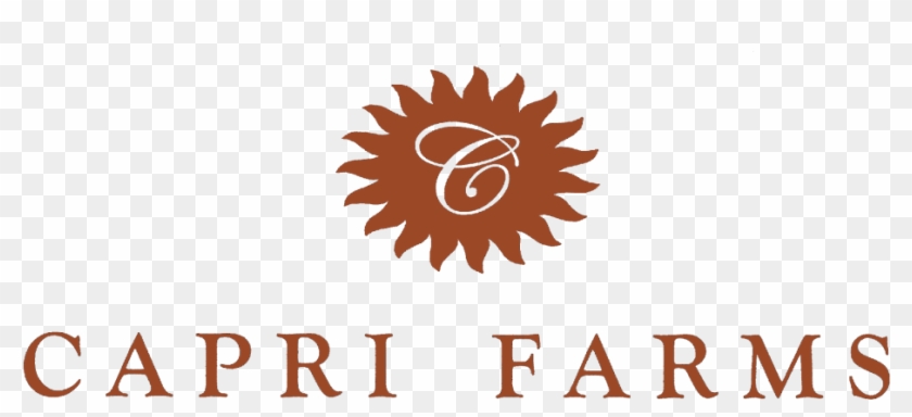 Cropped Burnt Amber Capri Fotoflexer Photo E1380636382945 - Country Girl Clipart