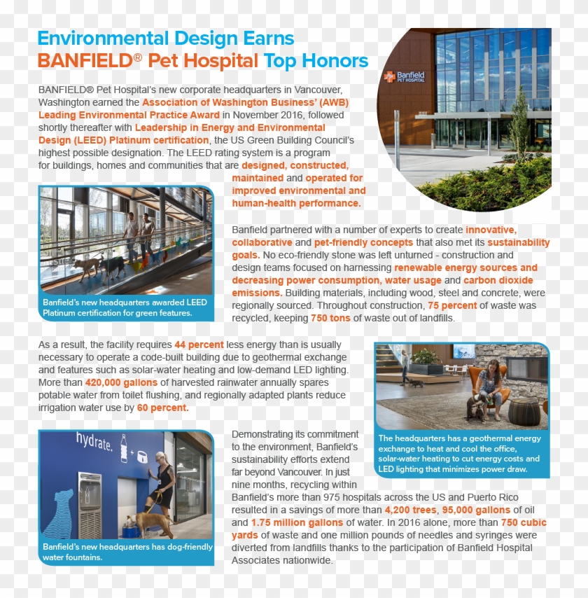 Art Layout - Brochure Clipart