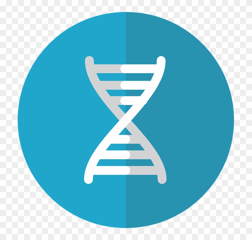 Gene Icon Genetics Icon Gene Genetics Dna - Genetic Engineering Png Clipart #5571240