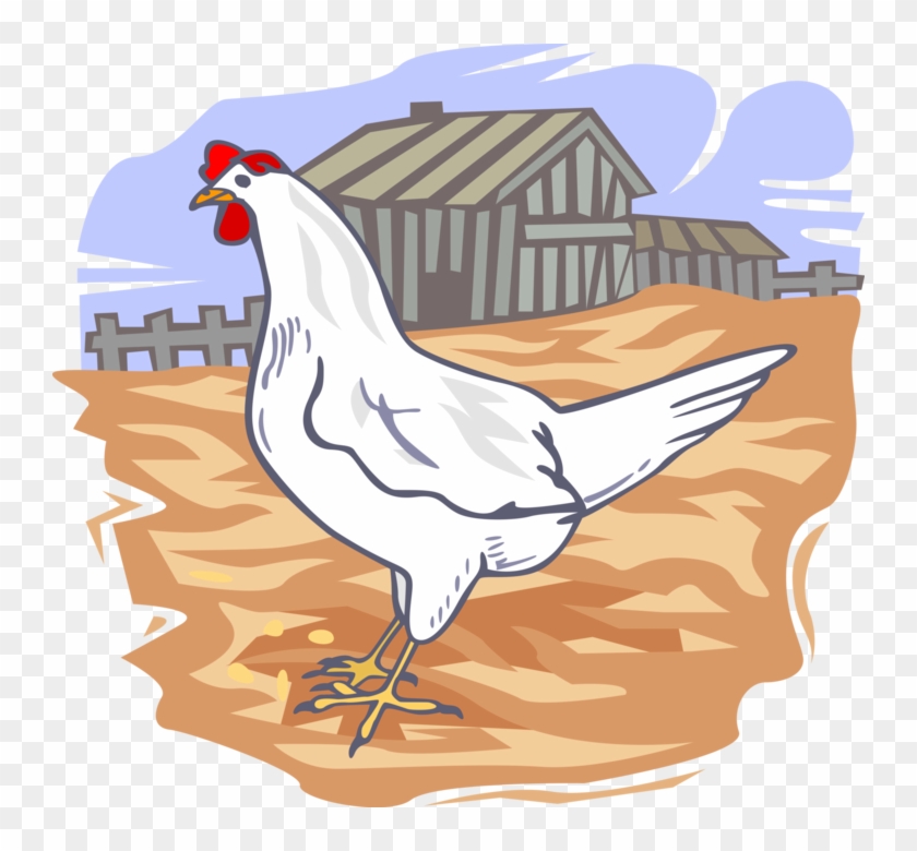More In Same Style Group - Poultry Farm Clip Art - Png Download #5571848