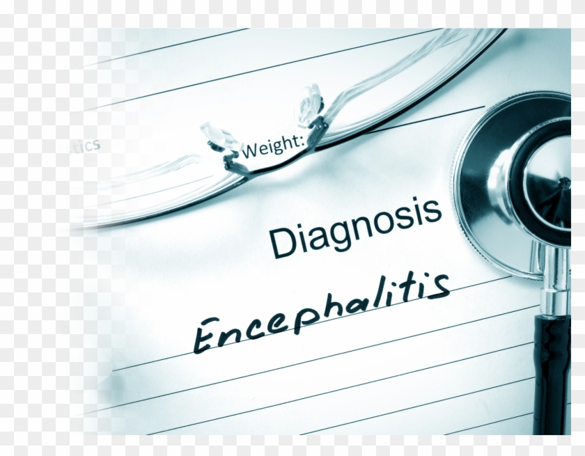 58 Pm 2719826 Digital Illustration Of Dengue Virus - Signage Clipart