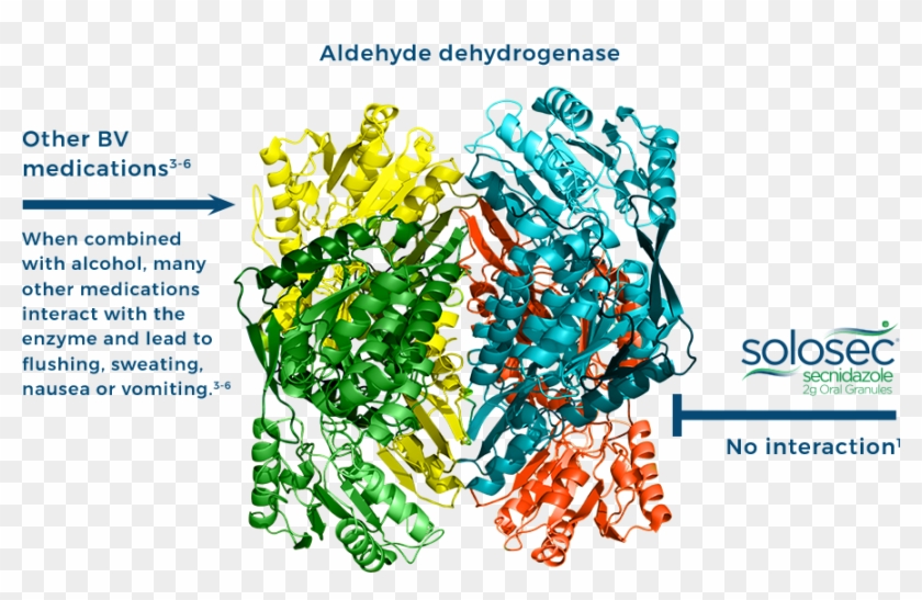 Solosec Has No Alcohol Restriction - Aldh2 Clipart