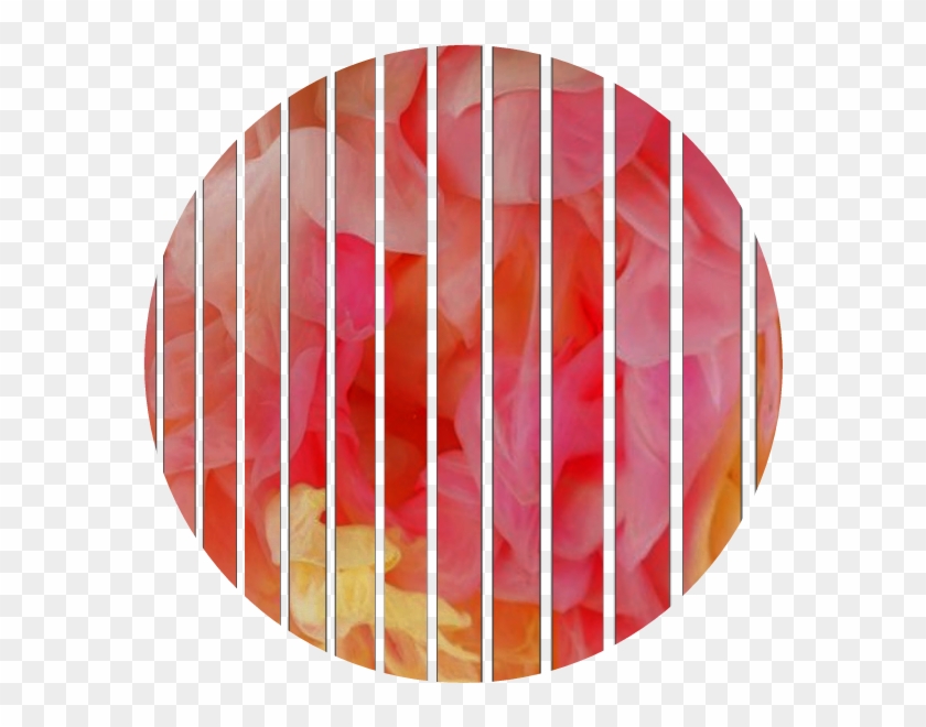 #circle #png #tumblr #aesthetic #remixit #círculo #freetoedit - Kit Festa Preto E Branco Clipart