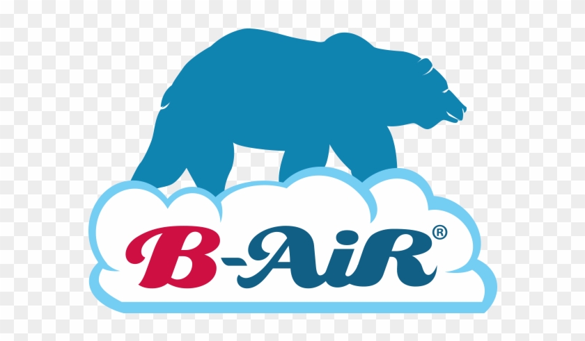 Jennifer Capunitan, B-air Public Relations - Fido Max 1 Dog Dryer Clipart