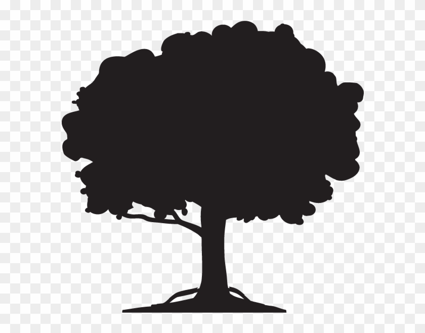 Green - Arvore Icon Png Clipart