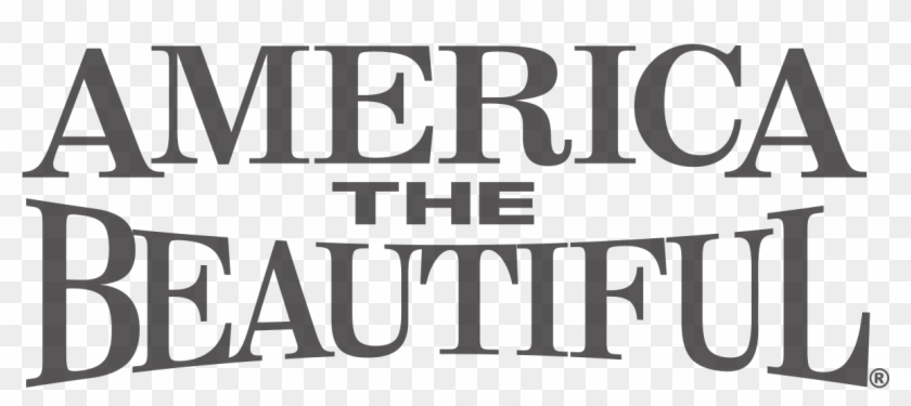 America The Beautiful® American Flag Weathered Distressed - กิ ฟ ฟา รี น Clipart #5584439