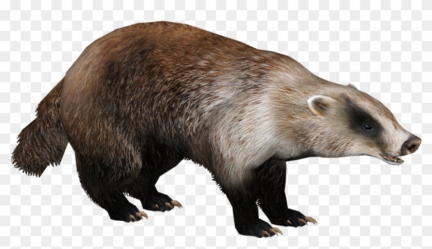Download Badgerjapanese Eryel Zt - Badger Png Clipart #5584624