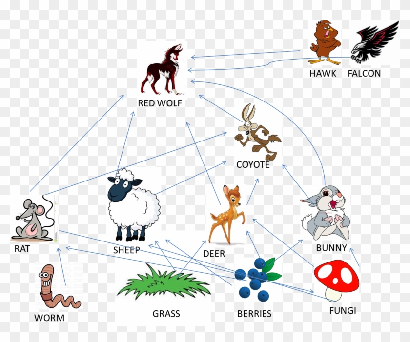 - Red Wolf Food Chain , Png Download - Food Chain For Red Wolf Clipart #5584799