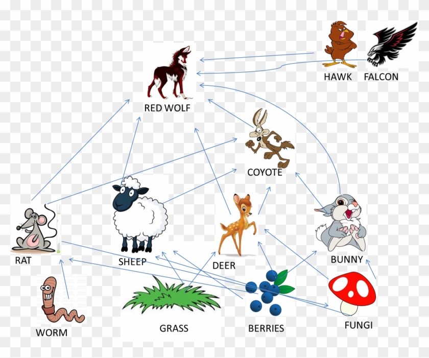 - Red Wolf Food Chain , Png Download - Food Chain For Red Wolf Clipart