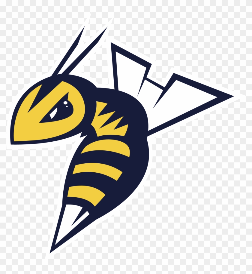 Edmonton Stingers Basketball Clipart #5584835