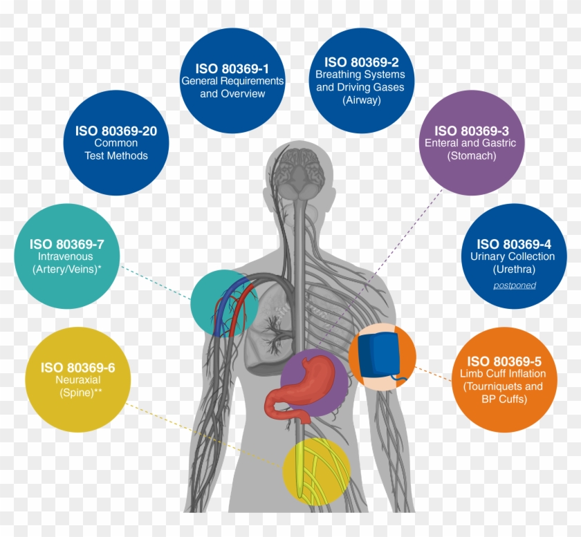 Iso - Graphic Design Clipart