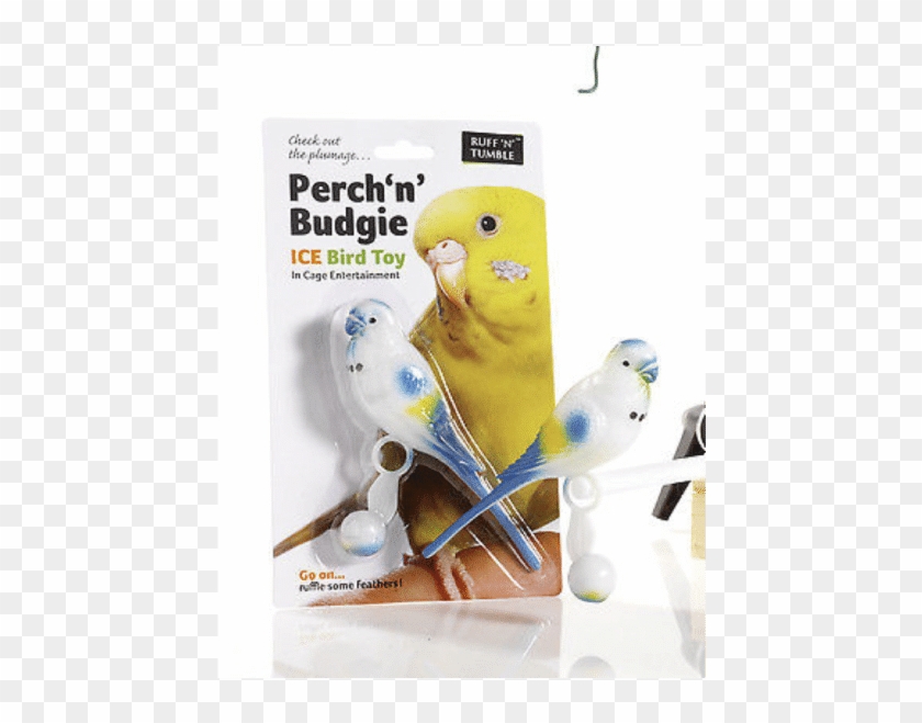 Home - Budgie Clipart #5586026