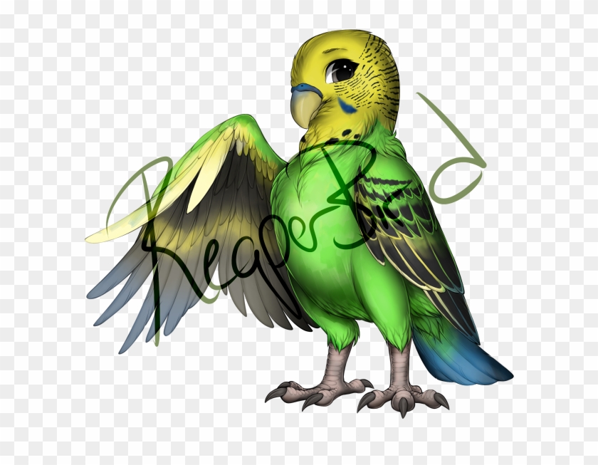 Rqjupbx - Budgie Clipart #5586102