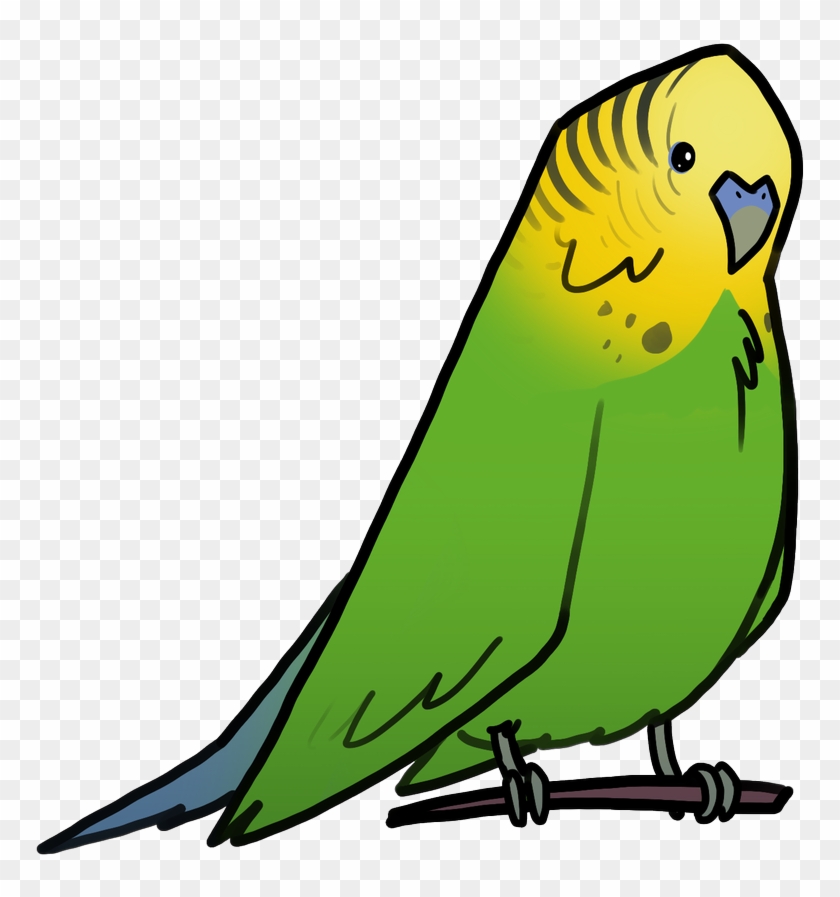 #dauntlessbirb Hashtag On Twitter - Budgie Clipart #5586150