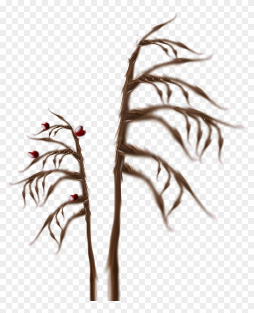 Grass B 1particles 6 - Twig Clipart