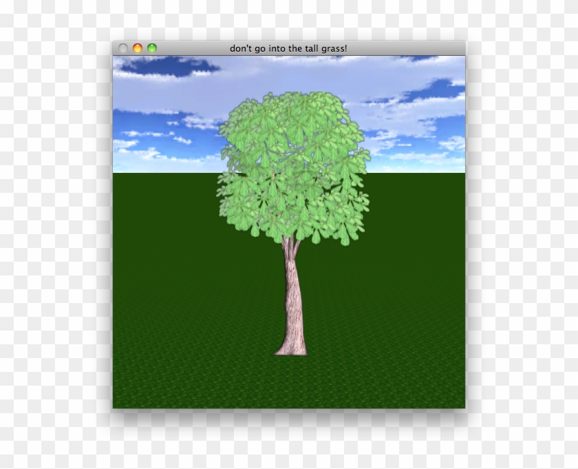 Grass Clipart