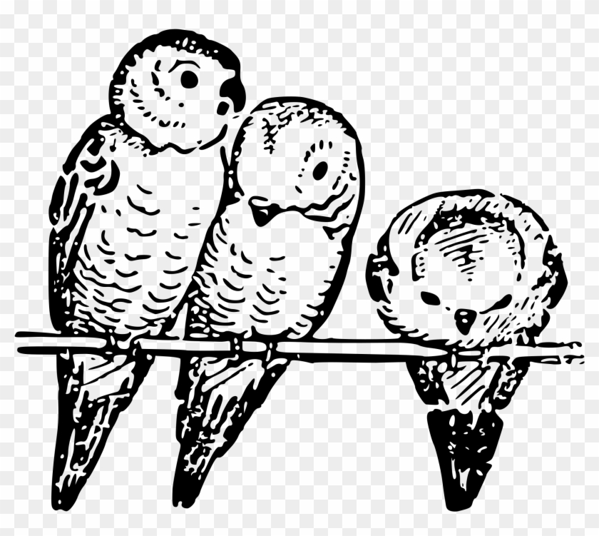 This Free Icons Png Design Of Lutz - Eliud Kipchoge Quotes Discipline Clipart