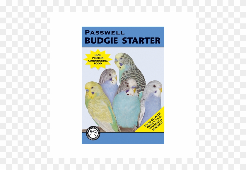 Passwell Budgie Starter - Budgie Clipart
