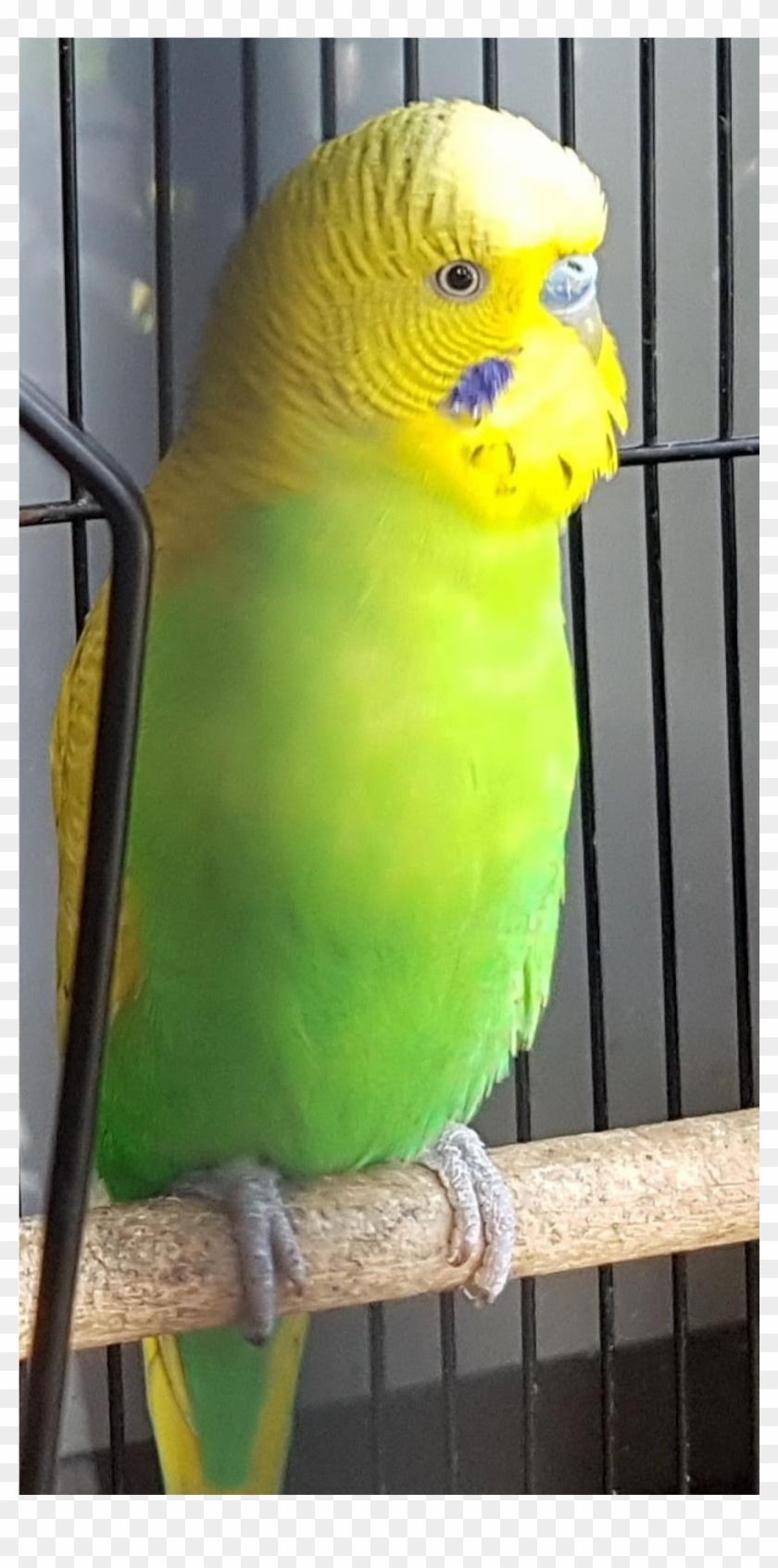 Sightings Clipart #5586657