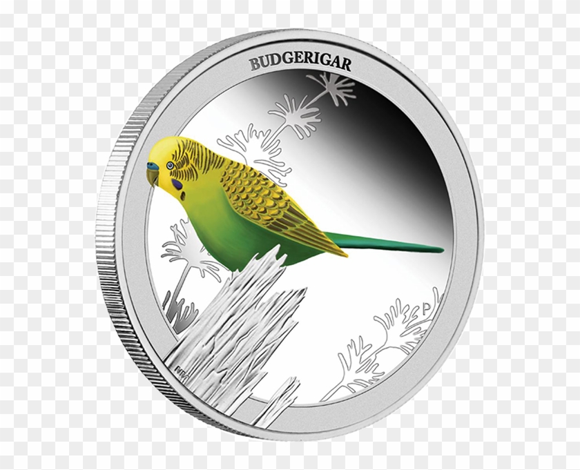 Australia 2013 50 Cents Budgerigar Birds Of Australia - Silver Clipart #5587341