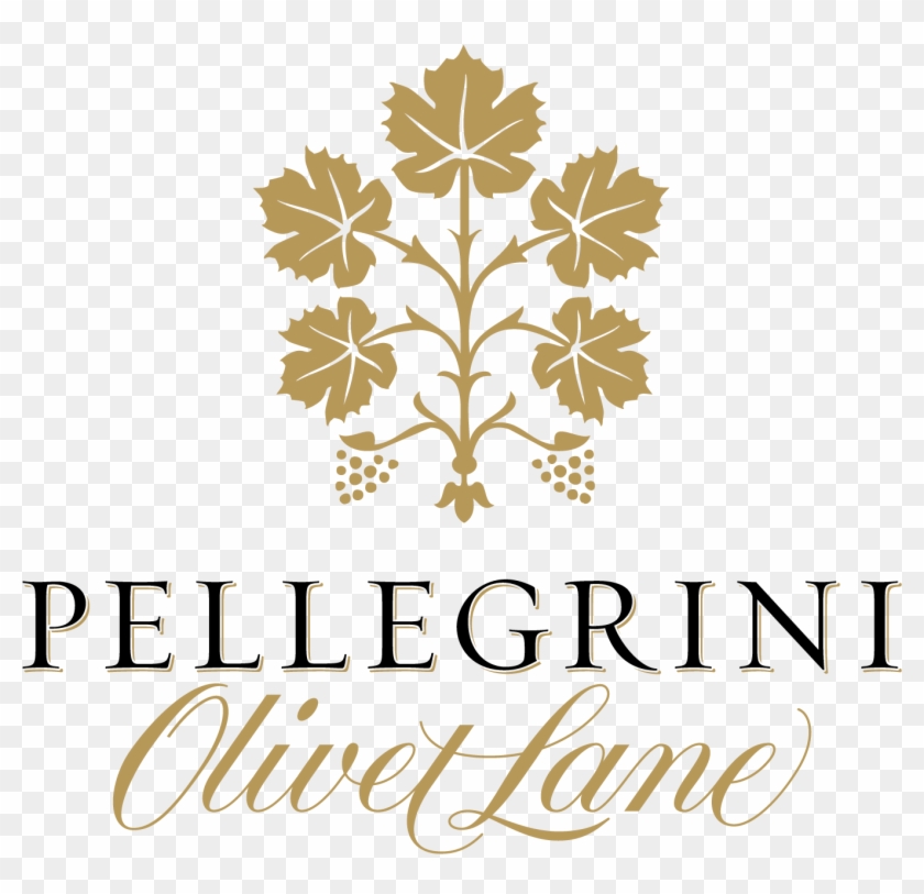 Pol Wordmark 1500 Pixels & Transparency - Pellegrini Wines Clipart #5588865