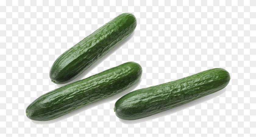 Mini Cucumbers - Cucumber Clipart #5589299