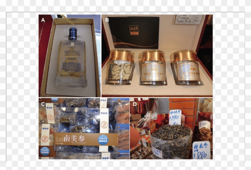 Holothurian Wine - Domaine De Canton Clipart