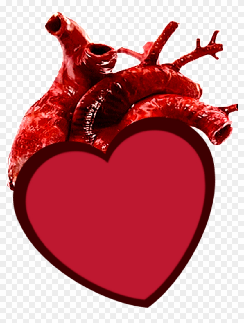 Rapid Heart Beat Gif Clipart #5590567