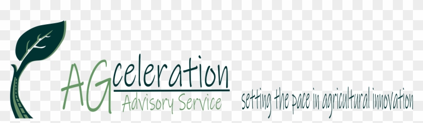 Calligraphy Clipart #5591891