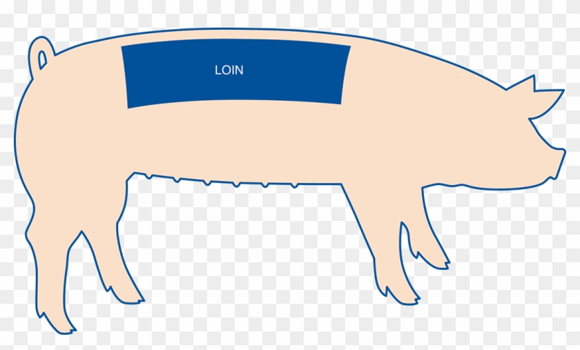 Pork Chops Are The Most Popular Cut From The Pork Loin, - Part Of The Pig Is Pork Loin Clipart #5592385