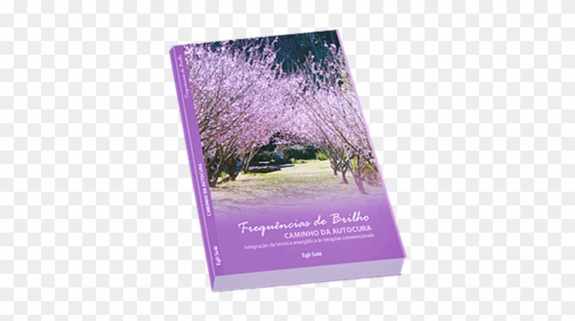 Psicóloga Lança Livro Sobre “frequências De Brilho” - Christmas Tree Clipart #5593394