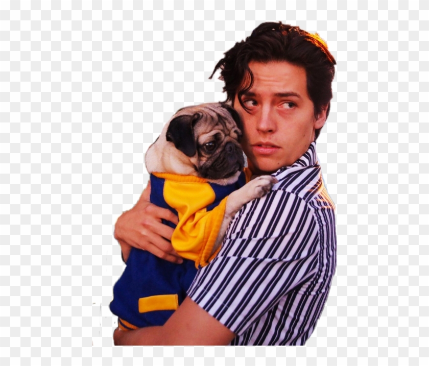 Cole Sprouse And Dog Clipart #5593610