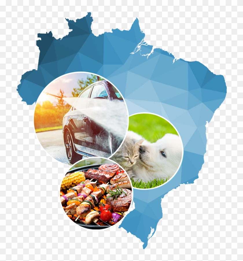 Tradition, Quality, High Technology, Innovation And - Brazil Vector Map Clipart