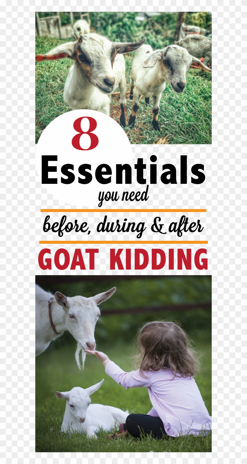 A List Of 8 Tips And Tricks To Make Your Next Goat - Tenderness Toward Existence Day Clipart #5595296