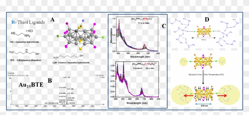The Bi Icosahedron Structure Leading To Splitting Of - Graphic Design Clipart #5595502