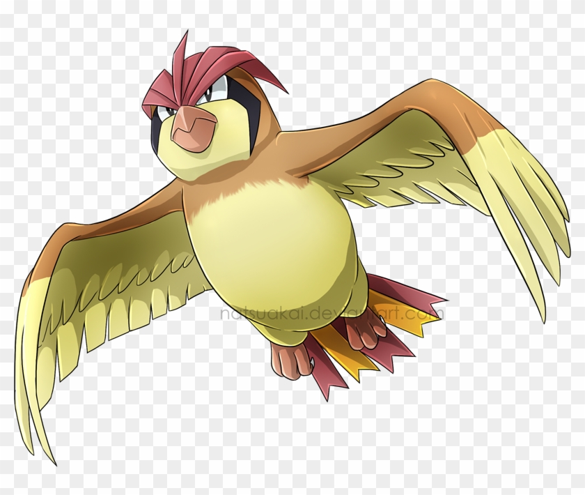 Pidgeotto Transparent Clipart