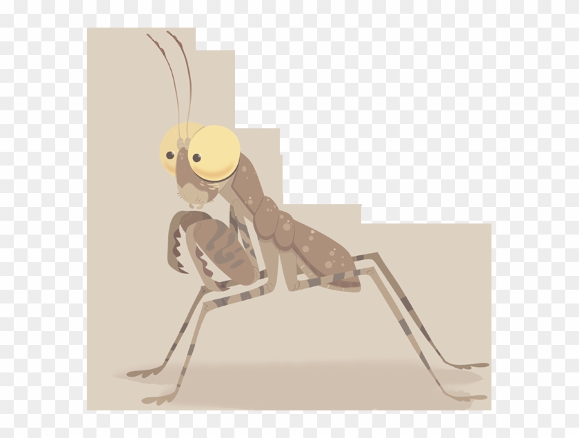 Desert Pebble Praying Mantis - Wild Kratts Wow Facts Clipart