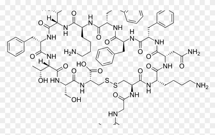 Somatostatin Market Analysis, Trends & Forecast To - O Dealkylation Clipart
