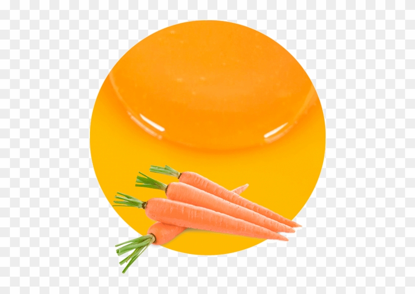 Our Carrot Puree Concentrate Is High In Beta-carotene, - Transparent Background Carrots Transparent Clipart