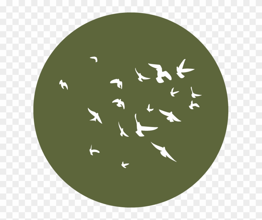 Knox Wild Bird Icon - Circle Clipart