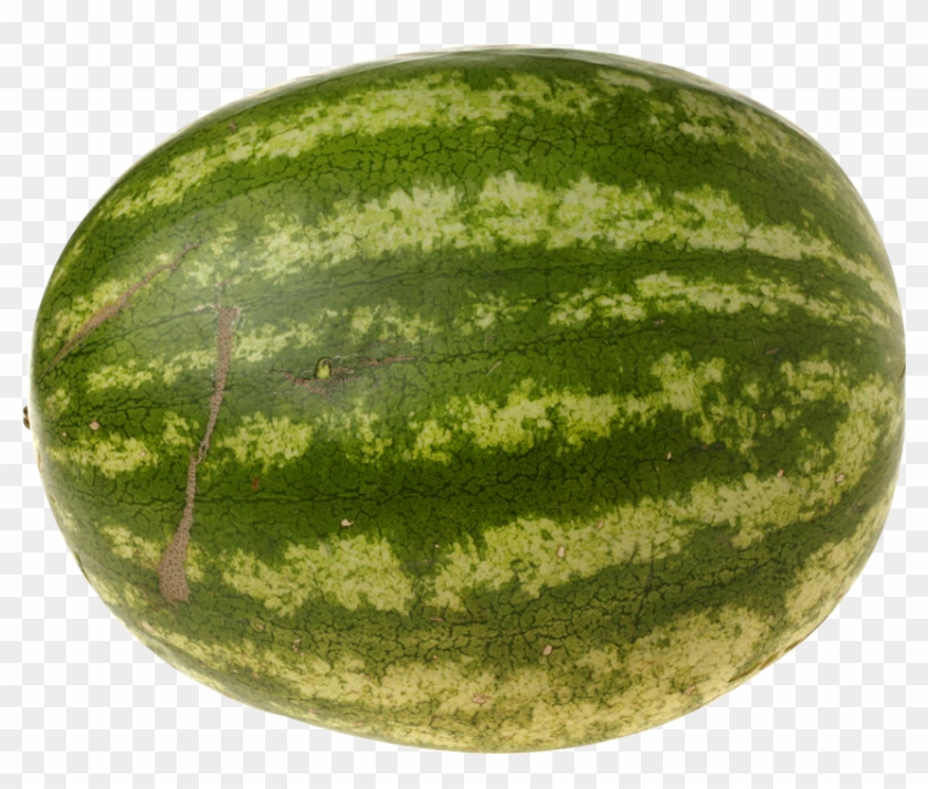 Watermelon Png Image - Up Niggy Wiggy Clipart #560457