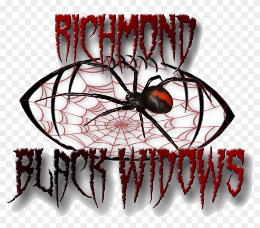 2018 Roster - Richmond Black Widows Clipart #561797