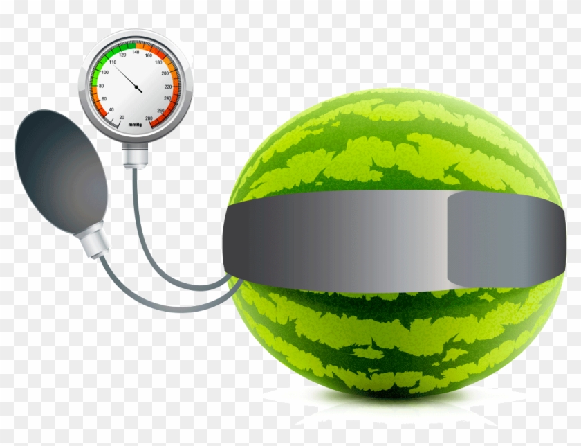 One Out Of Every Three American Adults Has Hypertension, - Watermelon Vector Clipart
