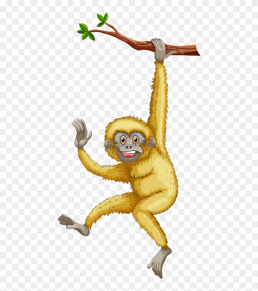 Cute Monkey With Bananas Png Picture - Macaque Clipart #562135
