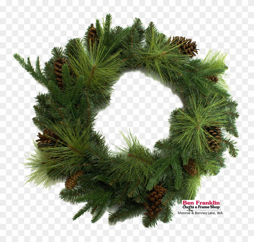 They Usually Come On A Bunch On A Pick, So Just Tie - Watercolor Pine Tree Wreath Png Clipart